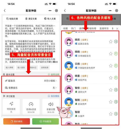 娱乐吃瓜视频配音软件